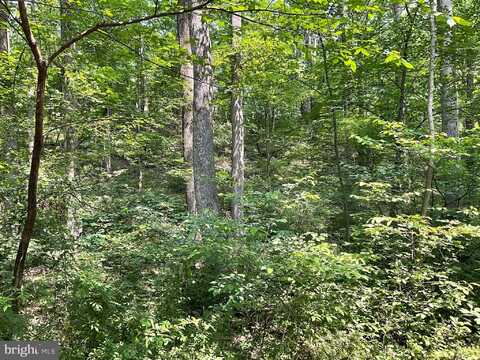 13+/- ACRES BUFFALO RD, NEW WINDSOR, MD 21776