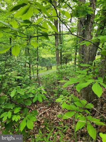 1367 ED ARNOLD ROAD, AUGUSTA, WV 26704