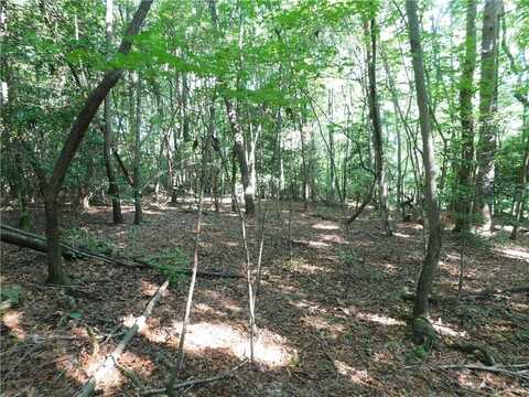 00 Chester Road, Dahlonega, GA 30533