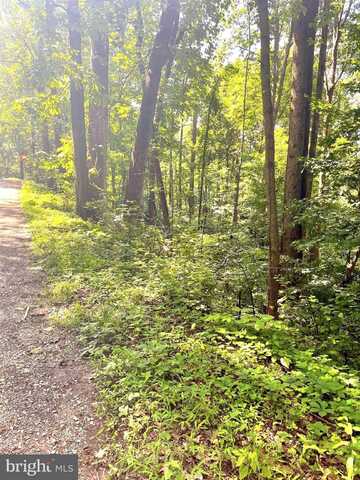 WALNUT TREE CT. ROAD, FRONT ROYAL, VA 22630