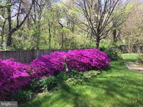 13893 WALNEY PARK DRIVE, CHANTILLY, VA 20151