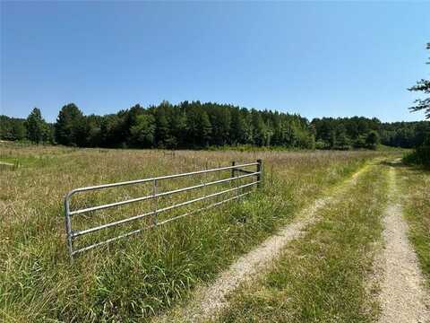 0 Highway 140 Tract F NW, Adairsville, GA 30103
