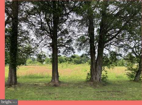LONGVIEW BOULEVARD, BUSHWOOD, MD 20618