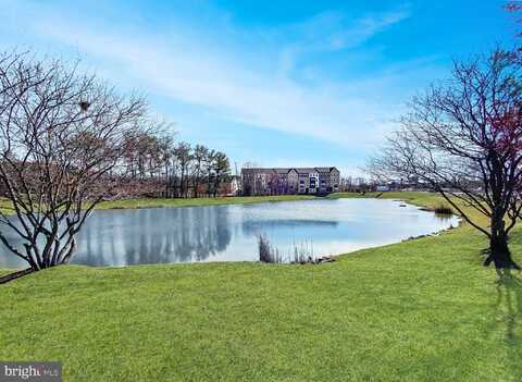 14344 YESLER AVENUE, CHANTILLY, VA 20151