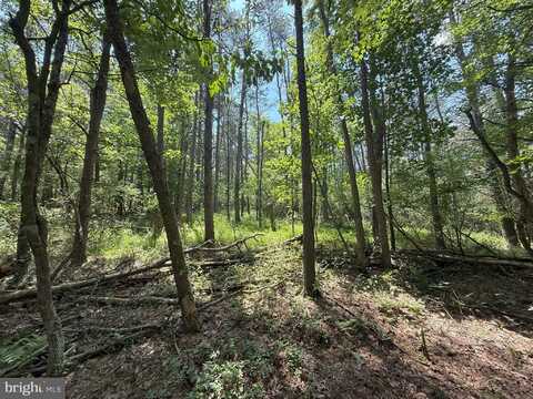 14.5 AC PCL A- OFF VIRGINIA LINE RD, BERKELEY SPRINGS, WV 25411