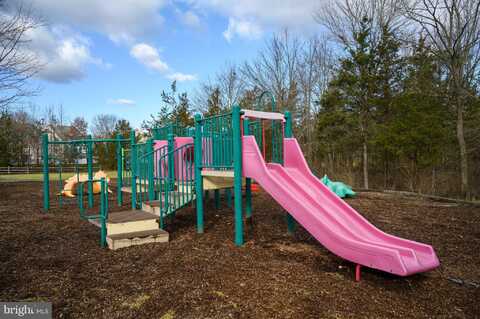 1305 SOUTH BRANCH DRIVE, WHITEHOUSE STATION, NJ 08889
