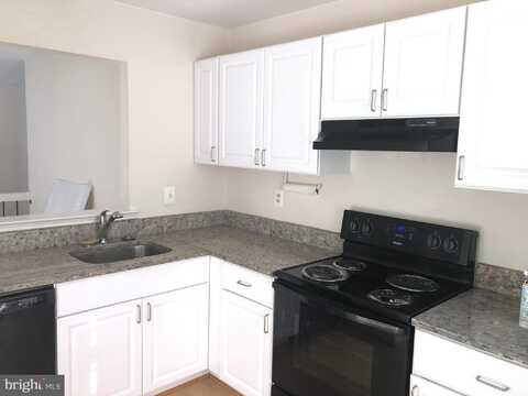 13906 GUNNERS PLACE, CENTREVILLE, VA 20121