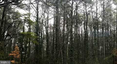215 LESSIN DRIVE, LUSBY, MD 20657