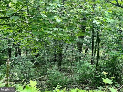 GREENWAY LANE, LURAY, VA 22835