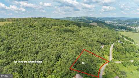 43 SMILEY FACE LANE, MC HENRY, MD 21541