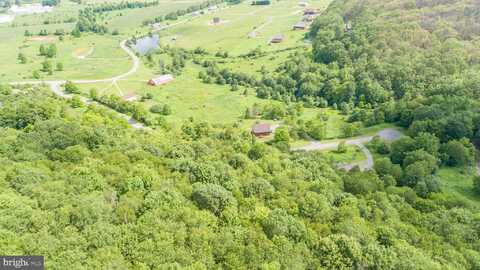 43 SMILEY FACE LANE, MC HENRY, MD 21541