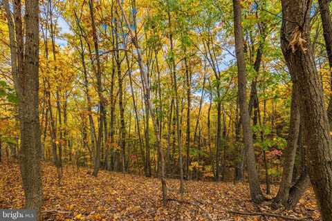 LUCAS HOLLOW RD, STANLEY, VA 22851