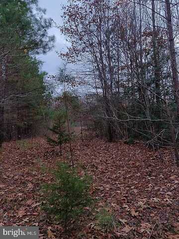 US ROUTE 1, RUTHER GLEN, VA 22546