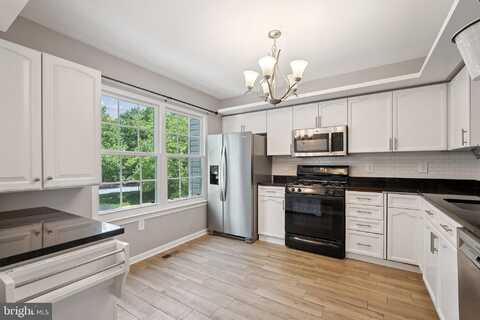 523 BLACKSBURG TERRACE NE, LEESBURG, VA 20176