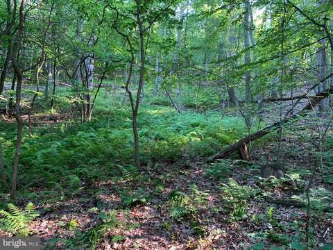 OLD HANCOCK ROAD, CUMBERLAND, MD 21502
