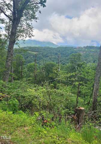 266 Little Sugar Lane, Sugar Mountain, NC 28604