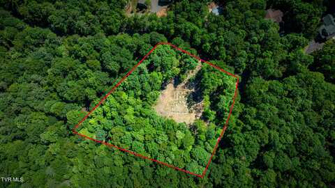 110 Forest Drive, Butler, TN 37640