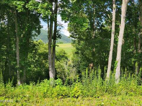 Lot 36 West Of Dry Hill, Butler, TN 37640