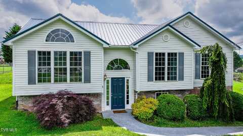 5 Pinehurst Court, Limestone, TN 37681