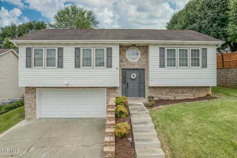 103 Daniels Way, Johnson City, TN 37615