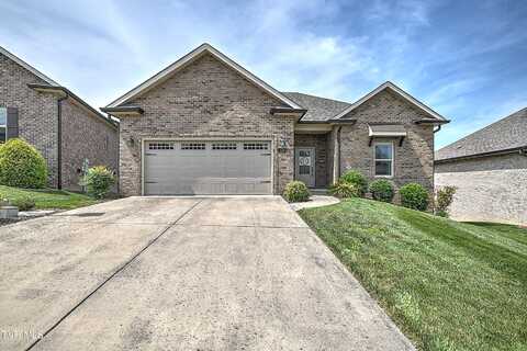 124 Ripple Falls Private Drive, Gray, TN 37615