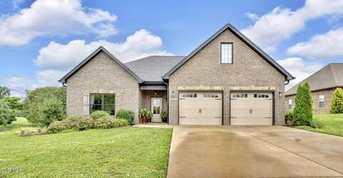 3015 Allison Meadows Road, Piney Flats, TN 37686