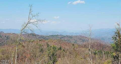 Tbd Walnut Mountain Road, Roan Mountain, TN 37687