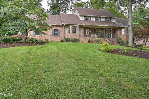 1239 Olde Oaks Drive, Gray, TN 37615
