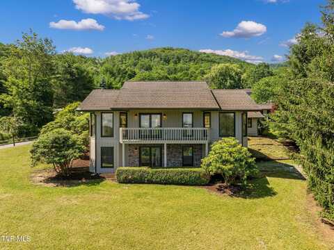 119 Orchard Meadows Lane, Roan Mountain, TN 37687