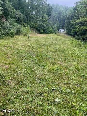 819 Doe Branch Branch, Haysi, VA 24256