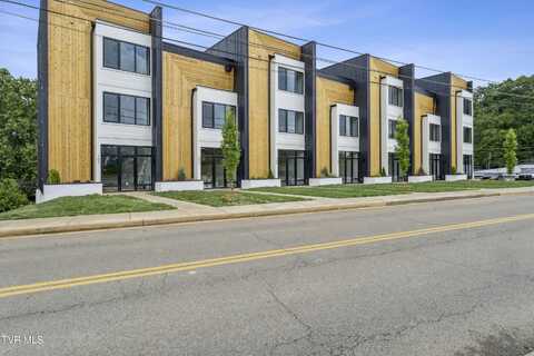 1533 Pactolas Road unit: 107, Johnson City, TN 37604