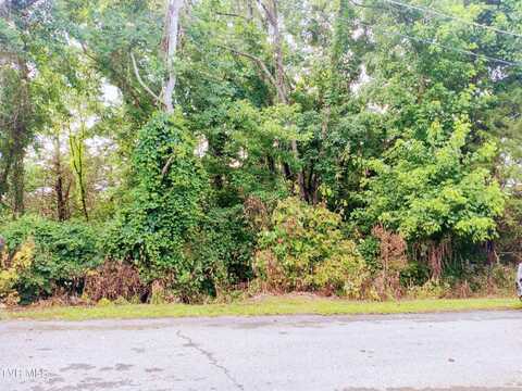 Highland Circle lot: 10, Bluff City, TN 37618