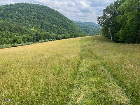 00 Manville Road, Gate City, VA 24251