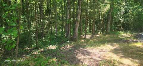 2870 Divider Natchez Trace Rd, CAMDEN, TN 38320