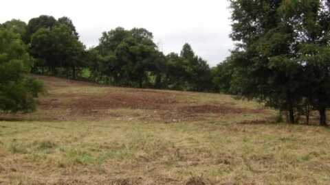 105 Log Home Lane, Moss, TN 38551