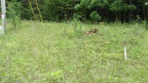 Lot 48 Parkstown Ext. Rd, WILDER, TN 38589
