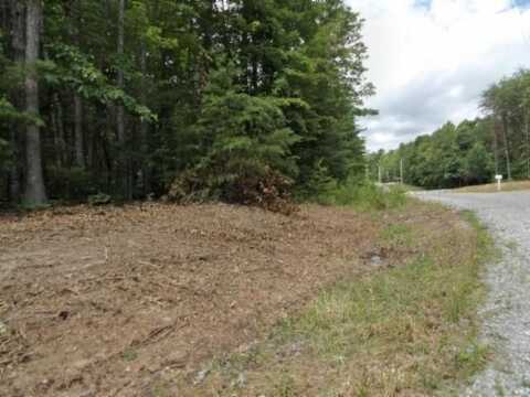 Lot 308 Hilltop Lane, WILDER, TN 38589