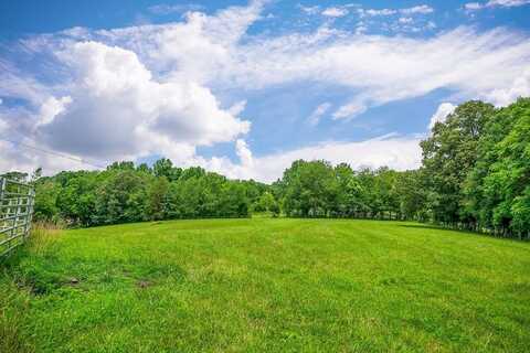 351 Martin Rd, SMITHVILLE, TN 37166