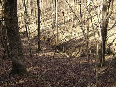 undefined, Spring City, TN 37831