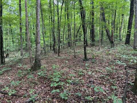Lot 24 Icy Cove Trail, MONTEREY, TN 38574