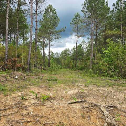 Lot 10 Holly Woods, Robbins, TN 38562