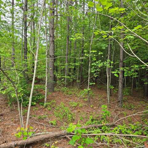 Lot 14 Holly Woods, Robbins, TN 38562