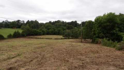 105 Log Home Lane, Moss, TN 38575