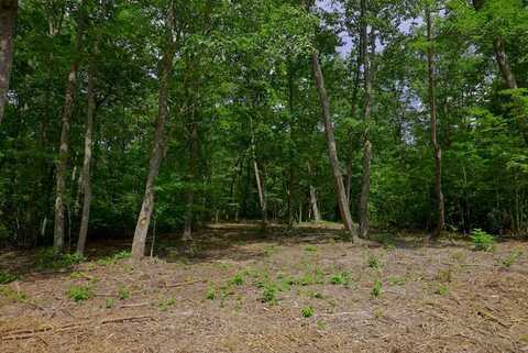 770 Overlook Dr, Spencer, TN 38585