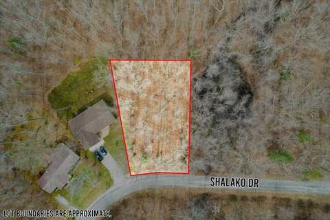 2029 Shalako Dr, CROSSVILLE, TN 38572