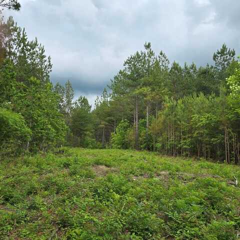 Lot 11 Holly Woods, Robbins, TN 38562