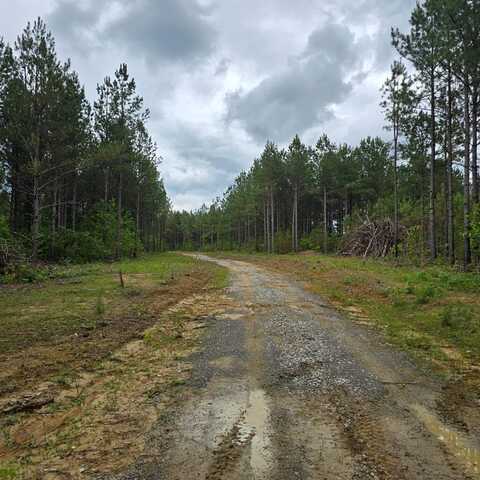 Lot 15 Holly Woods, Robbins, TN 38562