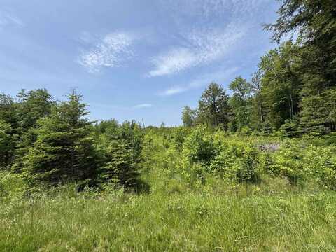 9627 BB, Rapid River, MI 49878