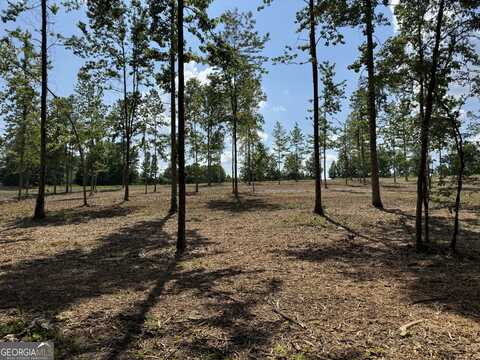Lot 3 Happy Hollow, Roopville, GA 30170