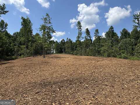 Lot 4 Happy Hollow, Roopville, GA 30170